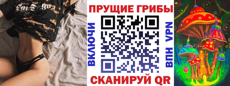 где купить наркоту  Зуевка  Галлюциногенные грибы ЛСД 